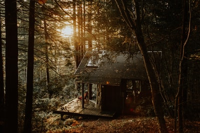 森林中的灰色木屋